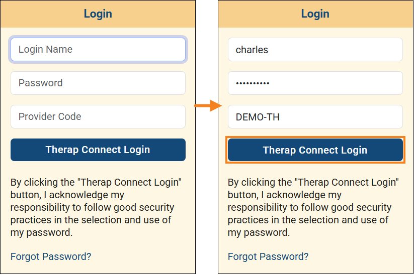 Screenshot of the login credentials section